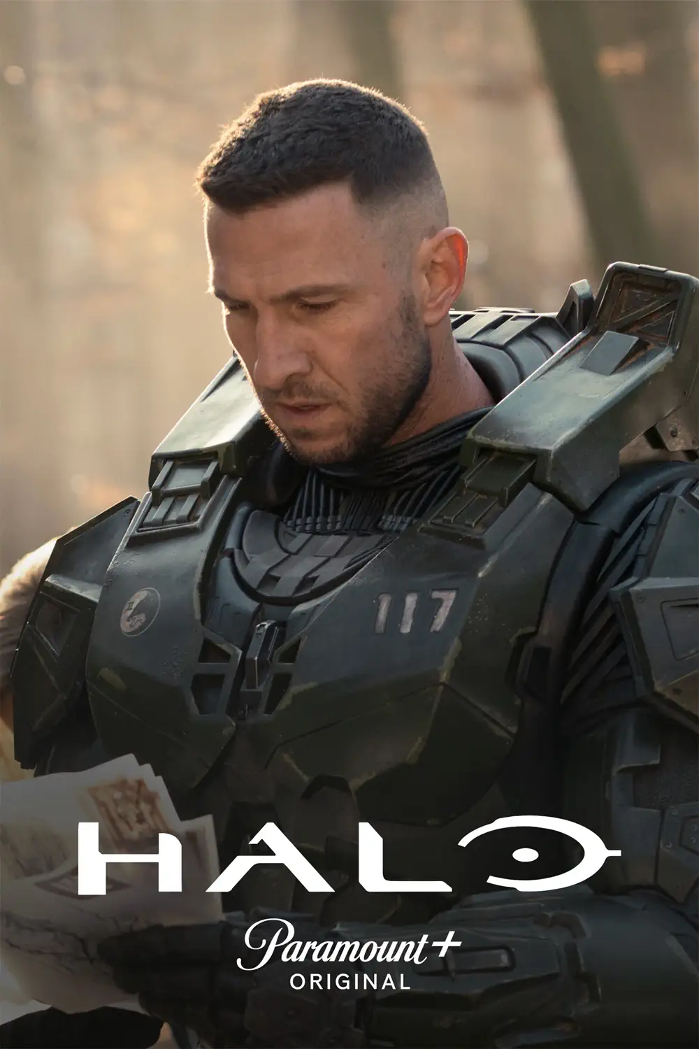 HALO banner