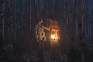 Photo 12