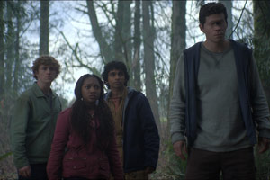 Photo 41