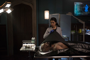 Photo 15