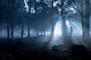 Photo 4
