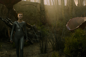 Photo 4