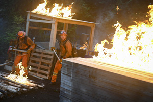 Photo 3