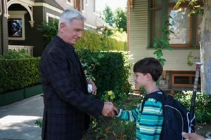 Photo 11