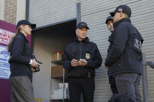 Photo 7