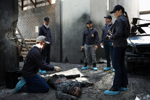 Photo 5