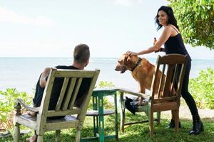 Photo 13