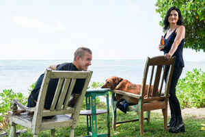Photo 14