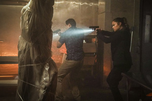 Photo 11