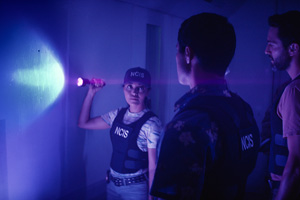 Photo 24