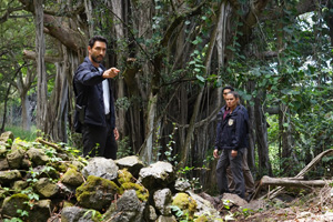 Photo 4