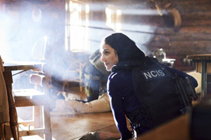 Photo 4