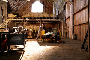 Photo 25
