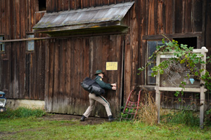Photo 3