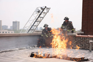 Photo 20