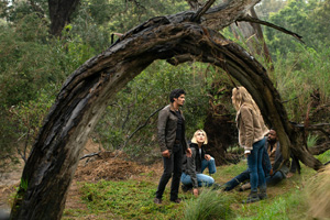 Photo 4