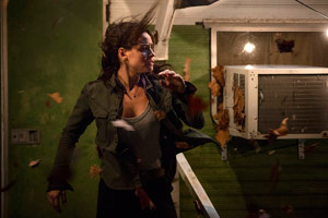 Photo 24