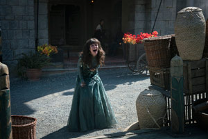 Photo 28