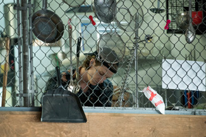 Photo 11