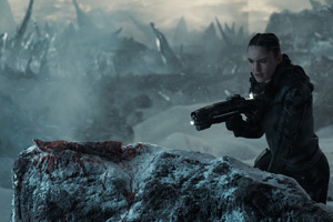 Photo 42