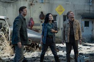 Photo 8