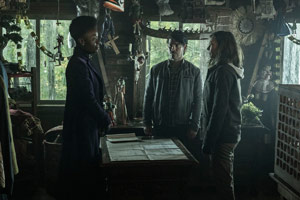Photo 7